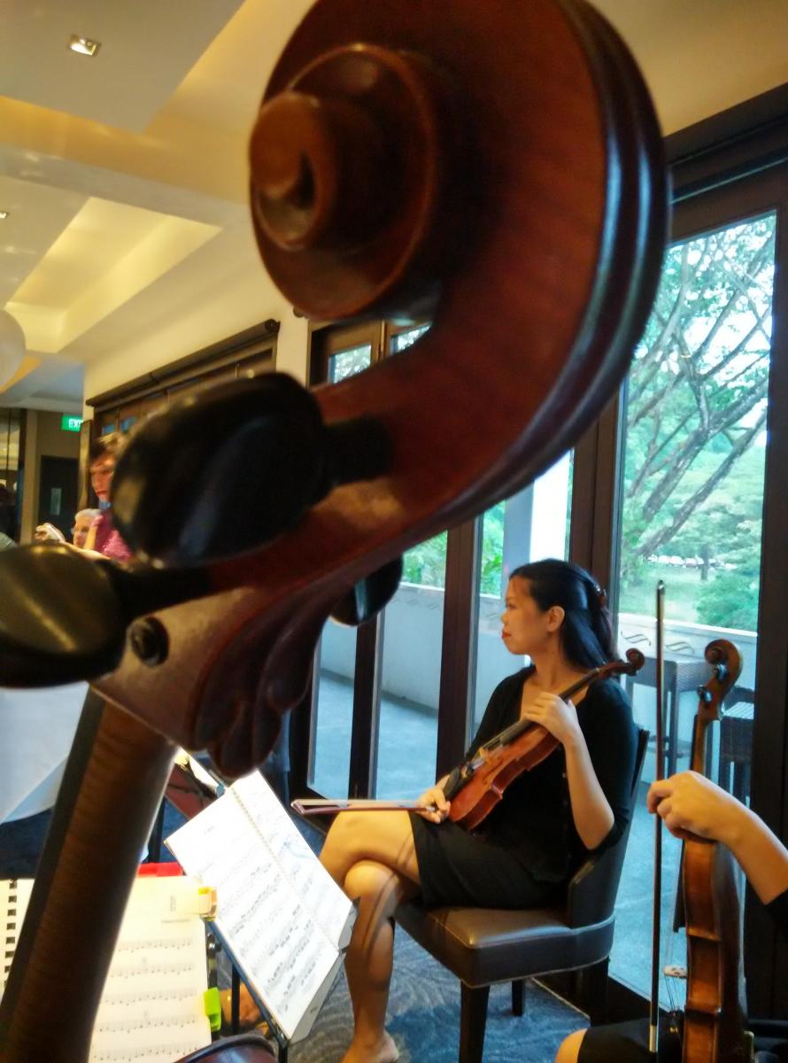 A violinist seen past the scroll of a cello during a performance