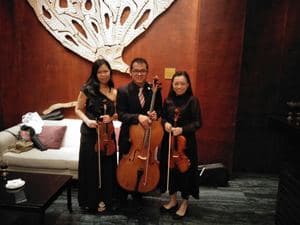 String trio at a hotel reception